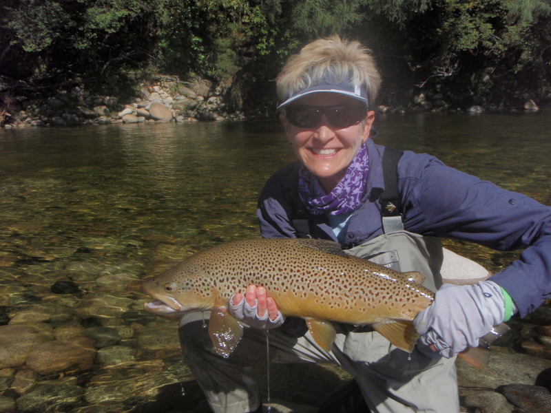 Guided trout fishing in New Zealand