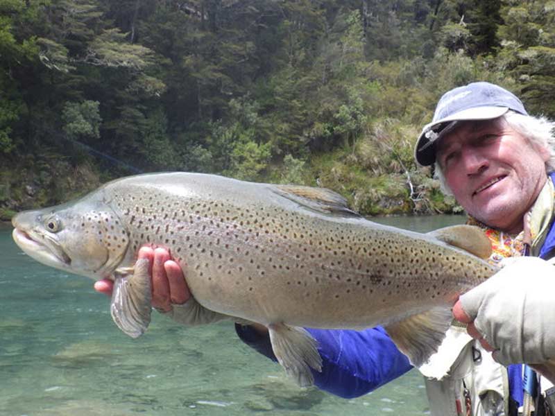 Catch a beautiful trout fishing in New Zealand