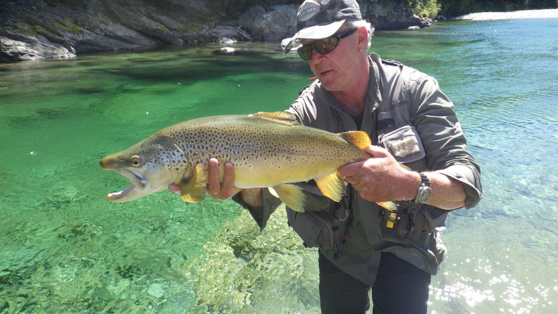 New Zealand fly fishing in pristine rivers