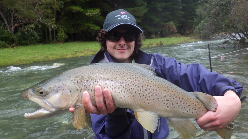 Guided trout fishing in New Zealand