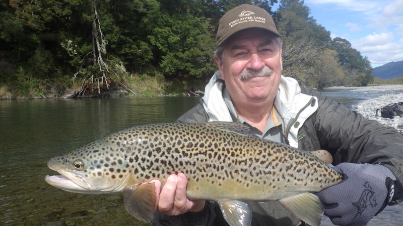 Guided fly fishing for trout in New Zealand