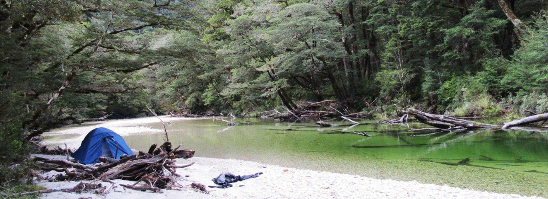 Hiking and trout fishing guide for the top of New Zealand's South Island