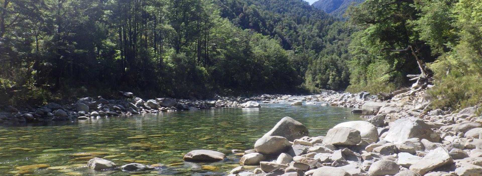 New Zealand's South Island Trout Fishing Guide